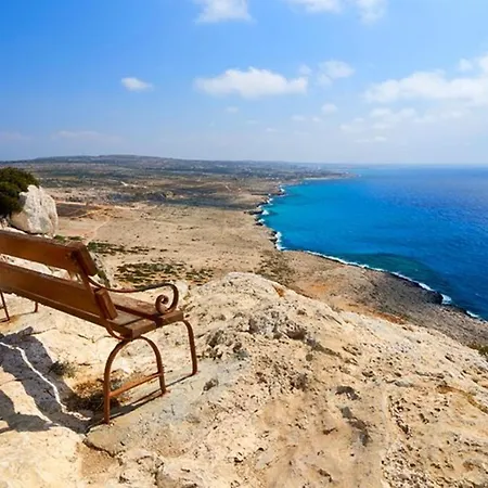 Lovely 1-bed Palm Garden House In Perivolialarnaka *
